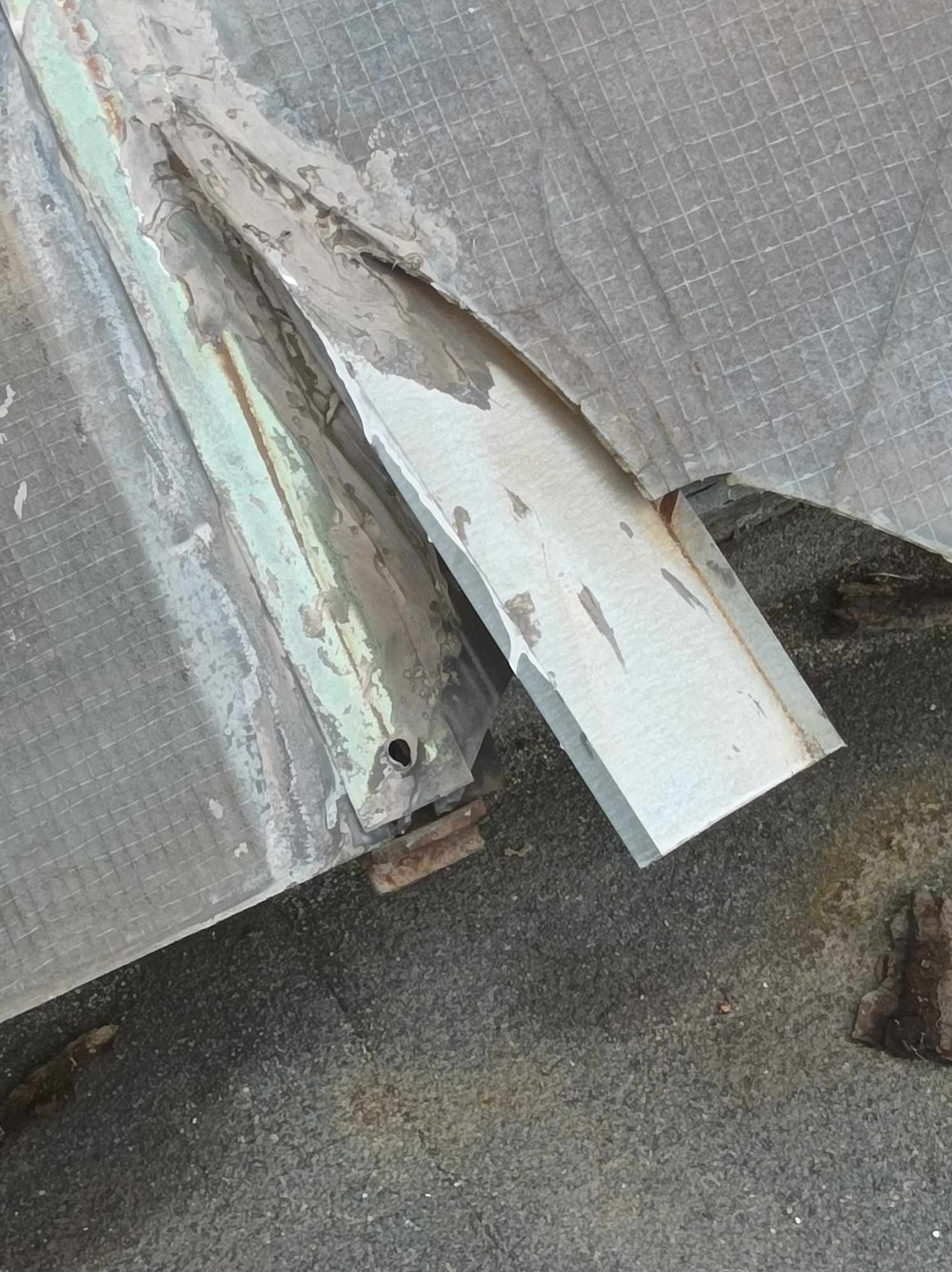 received_1975716072806245