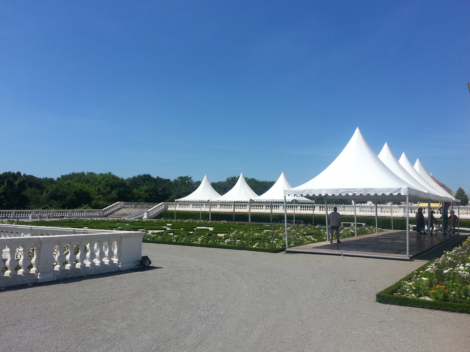 WhatsApp Image 2025-05-05 at 11.18.58 (2)